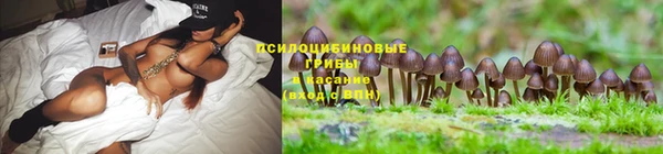 гидра Алзамай
