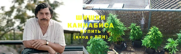 гидра Алзамай
