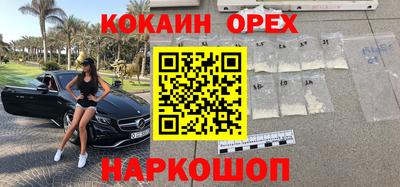 крисы Новодвинск