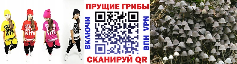 Псилоцибиновые грибы Magic Shrooms  Югорск 
