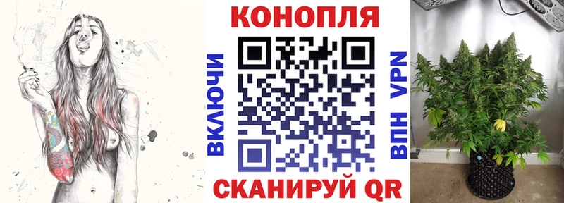 Бошки Шишки планчик Югорск